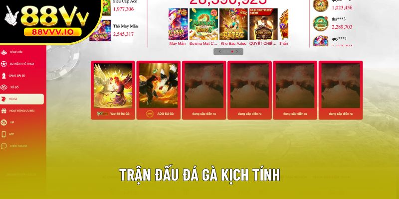 Trận đấu đá gà kịch tính