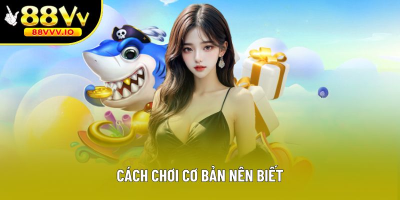 Cách chơi cơ bản nên biết