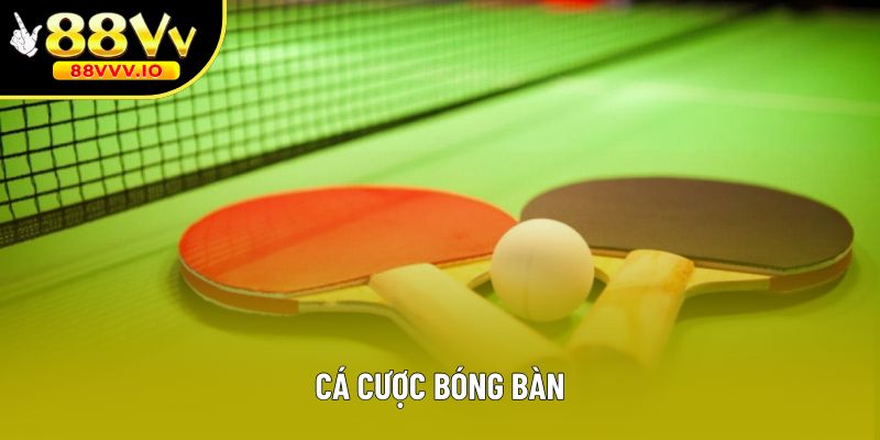 Cá Cược Bóng Bàn - Khám Phá Kèo Hot, Tỷ Lệ Cao Cùng 88vv