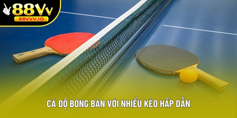 Cá độ bóng bàn với nhiều kèo hấp dẫn