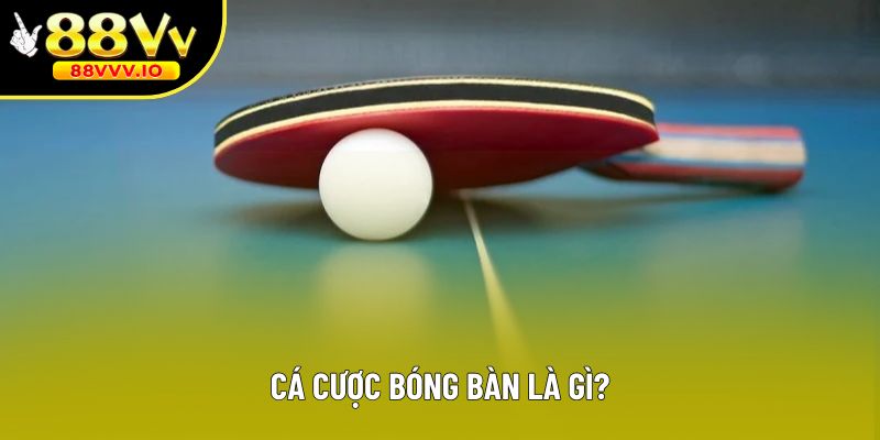 Cá cược bóng bàn là gì?